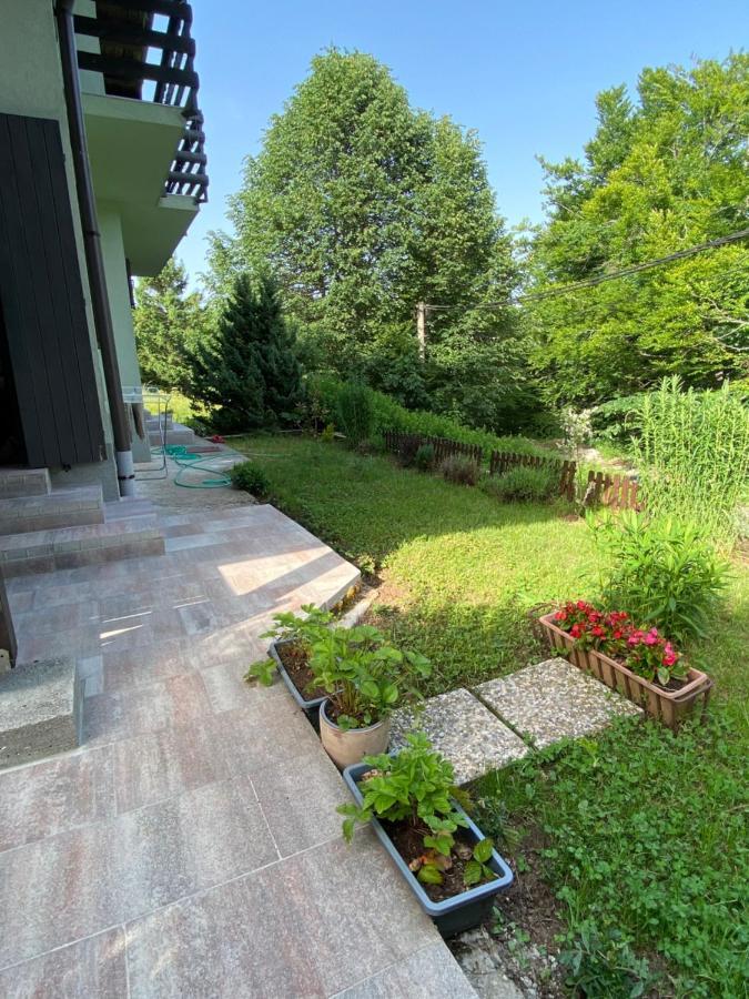 Apartments Vjeverica Zelin Mrzlovodicki Buitenkant foto
