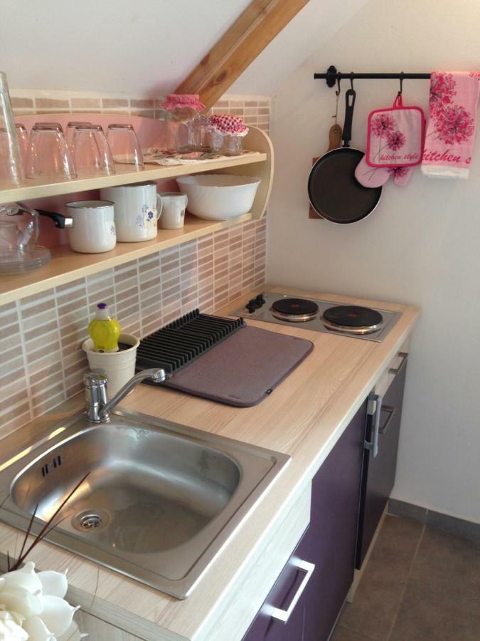 Apartments Vjeverica Zelin Mrzlovodicki Buitenkant foto